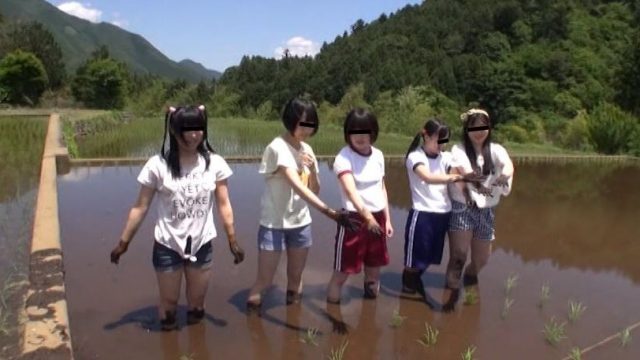 เย็ดเด็กสาวกลางทุ่งนา ดูหนังเอวี สอนเด็กสาวดำนา